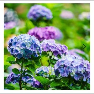 Meet your Posher, Vera